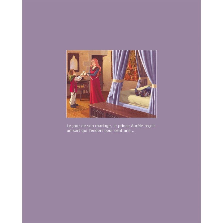 Livre Brunor et le prince endormi